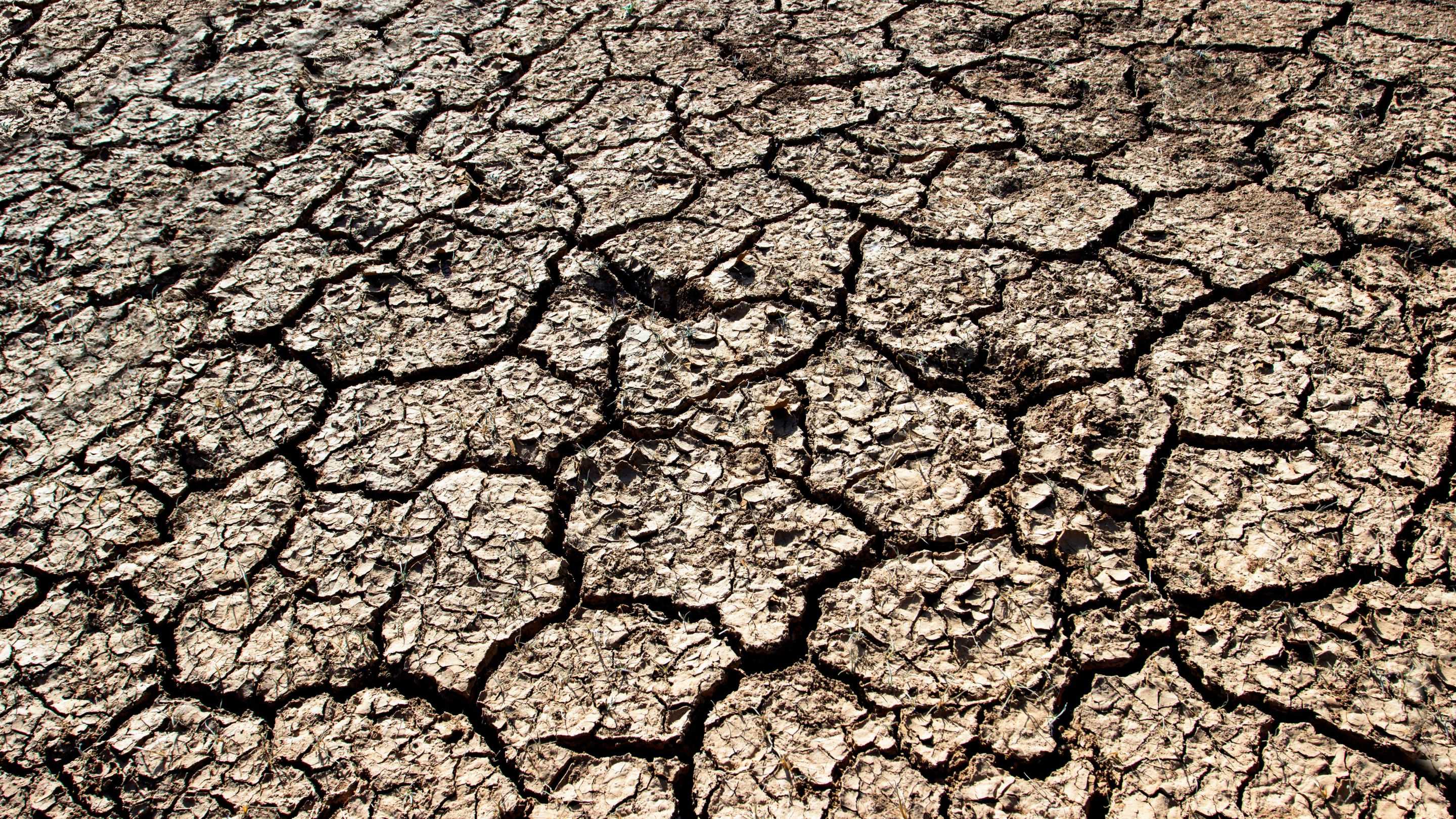 Super El Niño Berpotensi Terjadi, Begini Pengaruhnya terhadap Cuaca Global